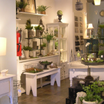 Lisa Jones Interior Store